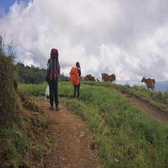 Mount Rinjani Trekking 3D/2N Sembalun to Torean