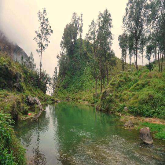 3D-2N Mount Rinjani Trekking Adventure (Sembalun to Torean Route)